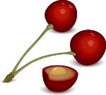 rainier cherries